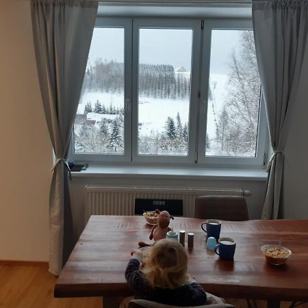 Apartman U Kunstatskeho Mlyna Orlicke Zahori Bagian luar foto