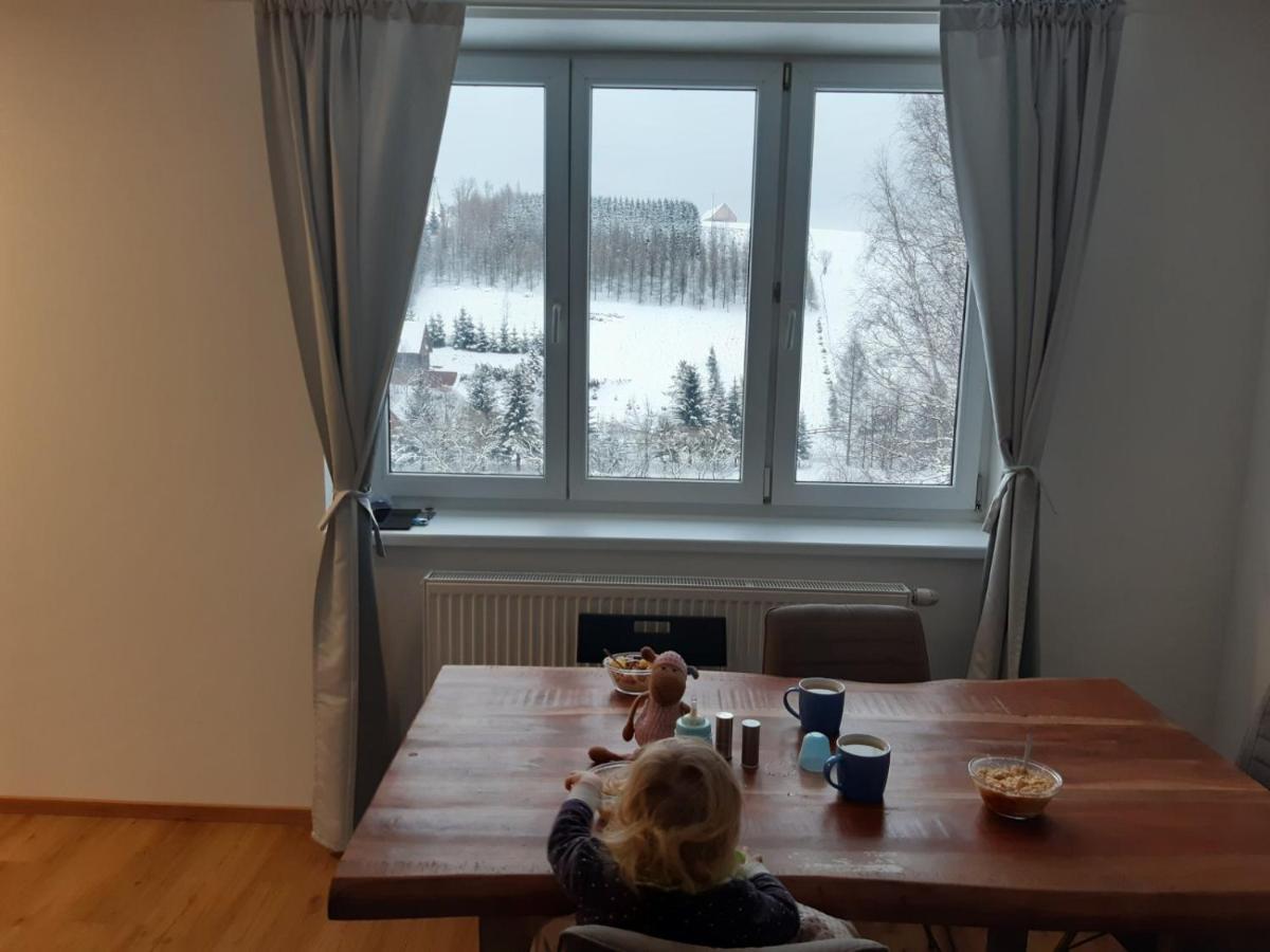 Apartman U Kunstatskeho Mlyna Orlicke Zahori Bagian luar foto