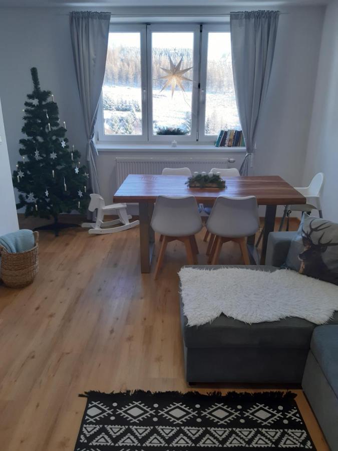 Apartman U Kunstatskeho Mlyna Orlicke Zahori Bagian luar foto