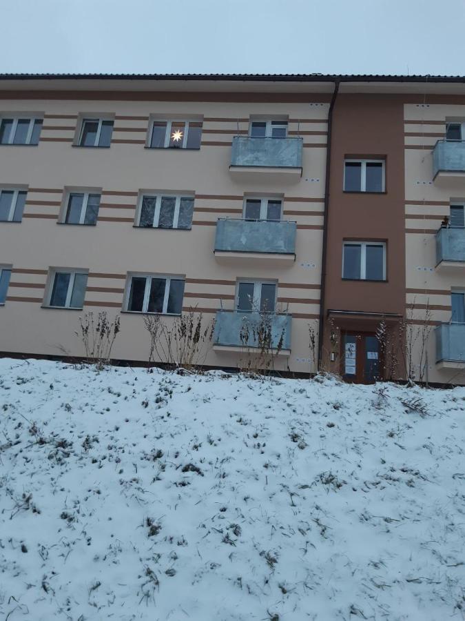 Apartman U Kunstatskeho Mlyna Orlicke Zahori Bagian luar foto